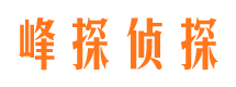 宁武侦探公司